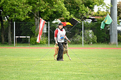 Appetitio Grande Occultatum Libera