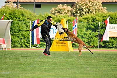 Appetitio Grande Occultatum Libera