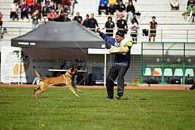 Aqua Bella Is Always Crazy