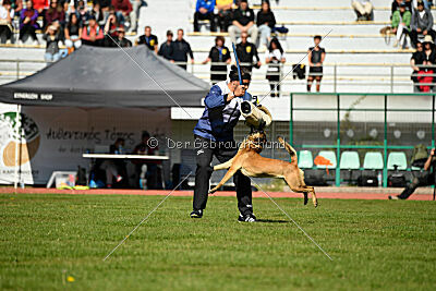 Aqua Bella Is Always Crazy