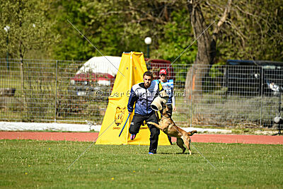 Aqua Bella Is Always Crazy