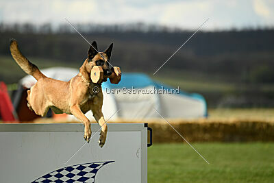 Aqua Bella Is Always Crazy