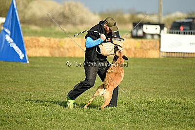 Aqua Bella Is Always Crazy