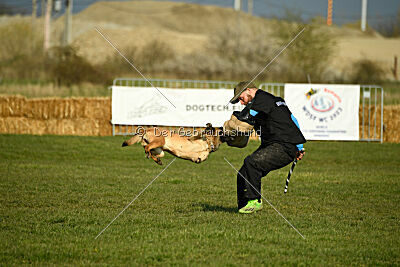 Aqua Bella Is Always Crazy