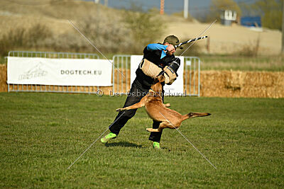 Aqua Bella Is Always Crazy