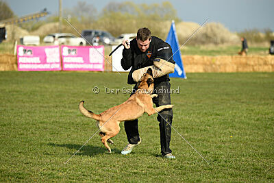 Aqua Bella Is Always Crazy