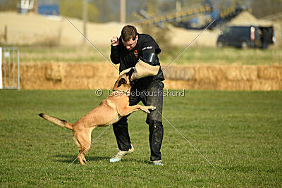 Aqua Bella Is Always Crazy