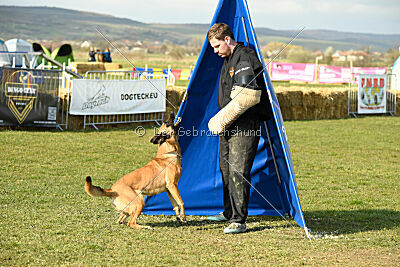 Aqua Bella Is Always Crazy