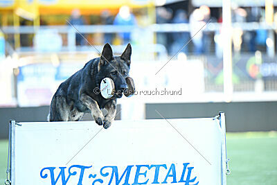 Arak Blue Rock Ranch