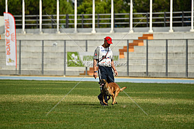 Aramis Red Devils Dog