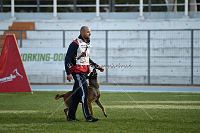 Aramis Red Devils Dog