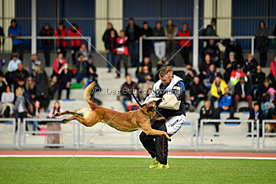 Aramis Red Devils Dog