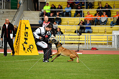 Aramis Red Devils Dog