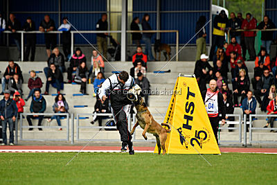 Aramis Red Devils Dog