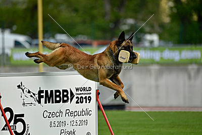 Aramis Red Devils Dog