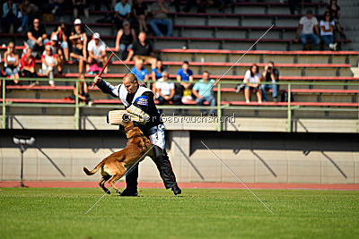 Aramis Red Devils Dog