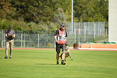 Aramis Red Devils Dog