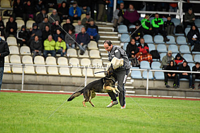 Arek vom Agri-tschai