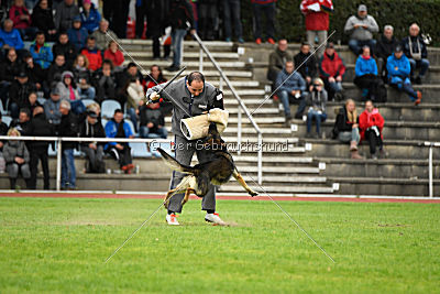 Arek vom Agri-tschai