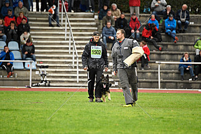 Arek vom Agri-tschai