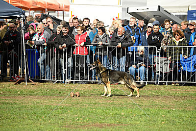Arek vom Agri-tschai