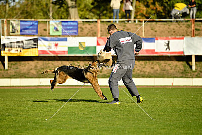 Arek vom dampfenden Kessel