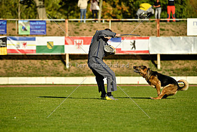 Arek vom dampfenden Kessel