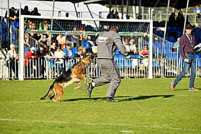 Arek vom dampfenden Kessel