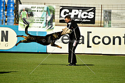 Arek von Königshand