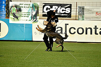 Arek von Königshand