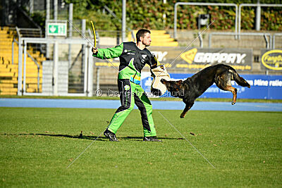 Arek von Königshand