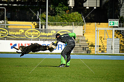 Arek von Königshand