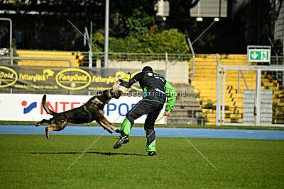 Arek von Königshand