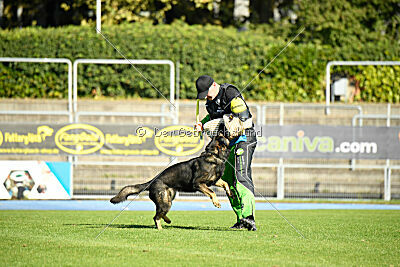 Arek von Königshand