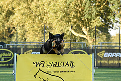 Arek von Königshand