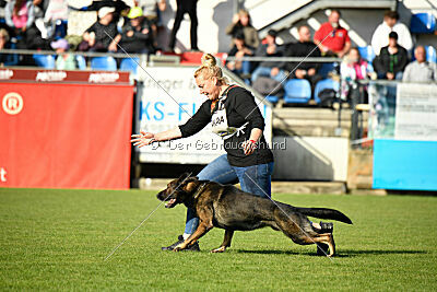 Ares spod Cerenca