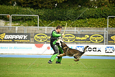 Ares vom Clan der Saalerer Wölfe