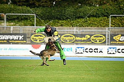 Ares vom Clan der Saalerer Wölfe