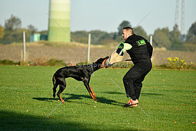 Ares von Misnia