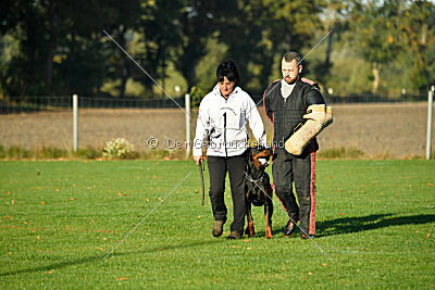 Ares von Misnia