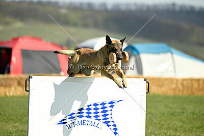 Ari von der Lilienwiese