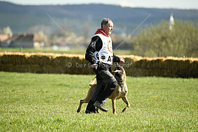 Ari von der Lilienwiese