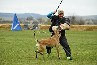 Ari von der Lilienwiese