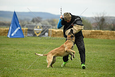 Ari von der Lilienwiese