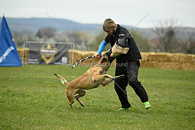 Ari von der Lilienwiese