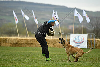 Ari von der Lilienwiese