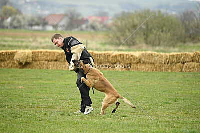 Ari von der Lilienwiese