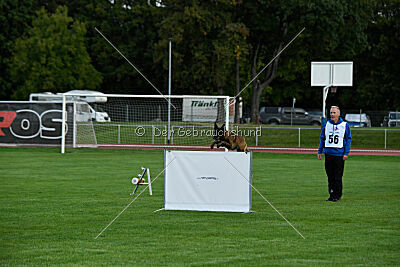 Arielle vom Alten Gleiss