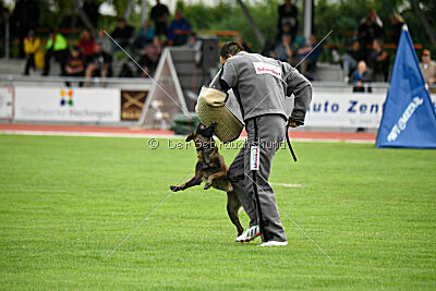 Arielle vom Alten Gleiss