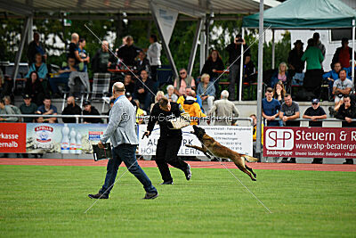 Arielle vom Alten Gleiss